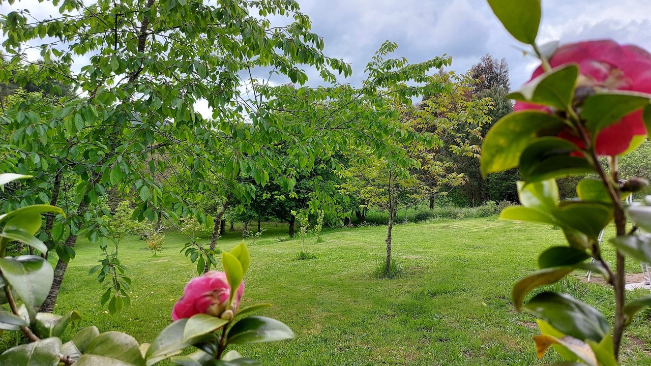 Photo of Outdoor in Oza de los Rios