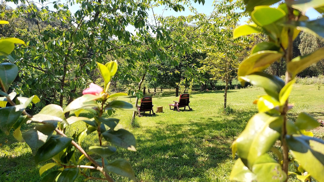 Photo of Outdoor in Oza de los Rios