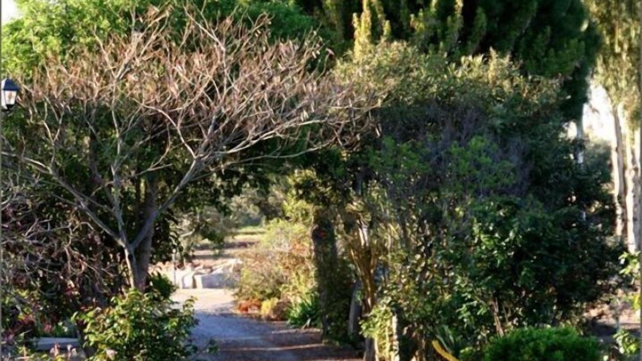 Photo of Outdoor in Belalcazar