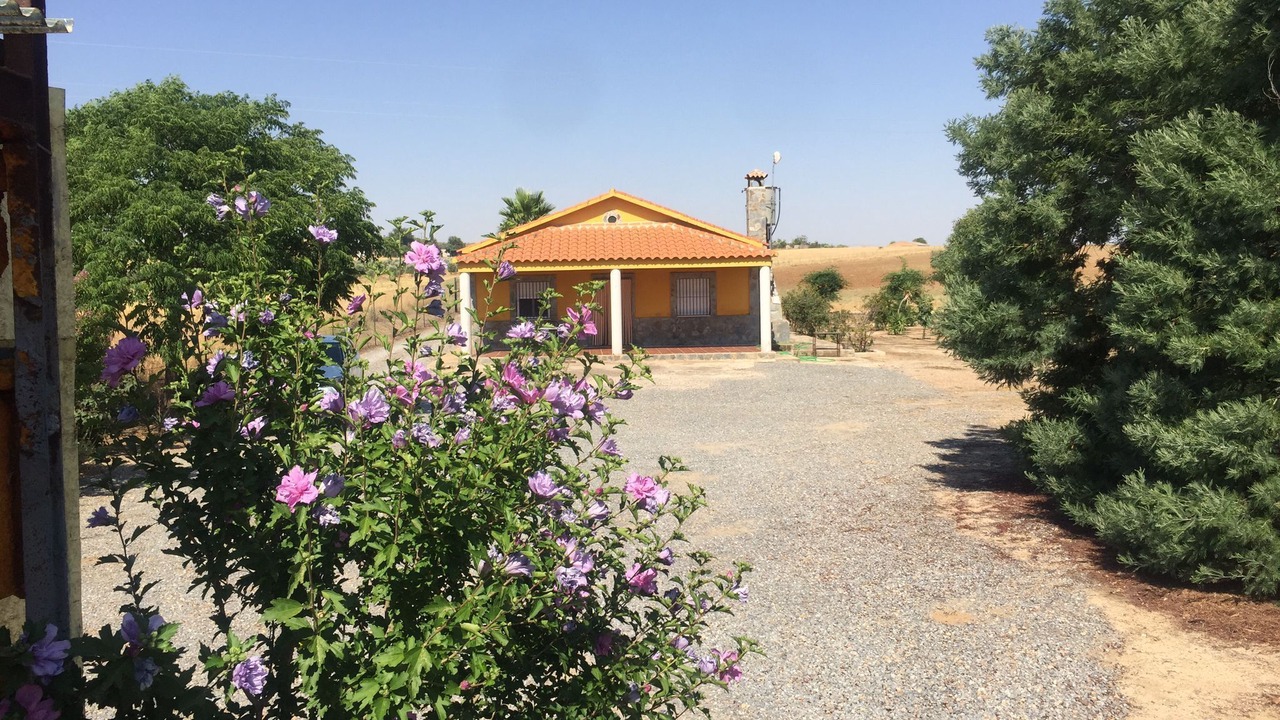 Photo of Outdoor in Belalcazar