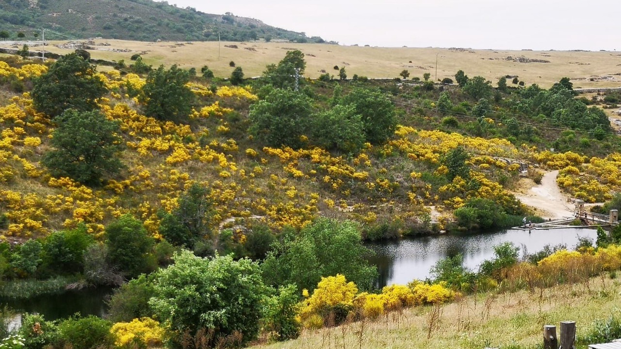 Photo of Outdoor in La Granja de San Ildefonso