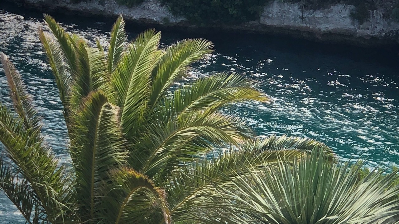 Photo of Outdoor in Santa Ana