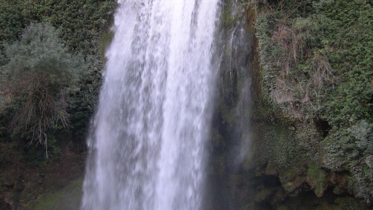 Photo of Others in Nuevalos