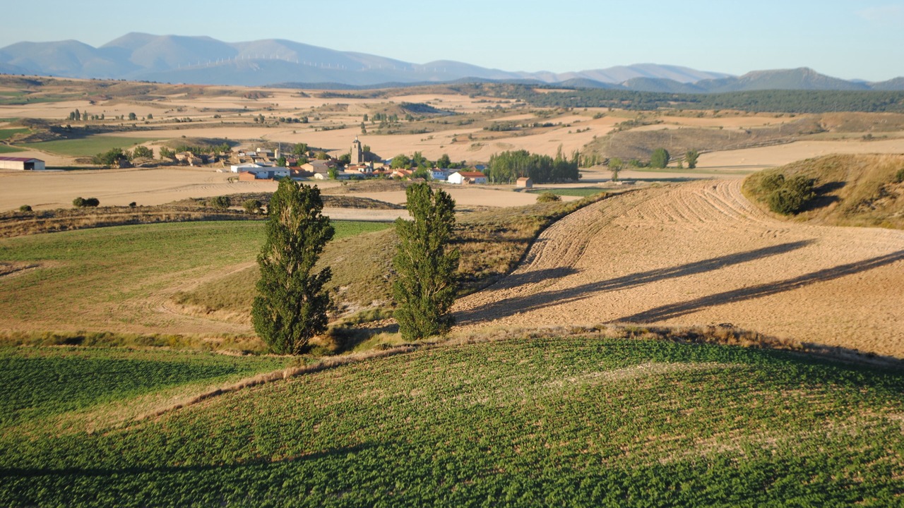 Photo of Others in Almenar de Soria