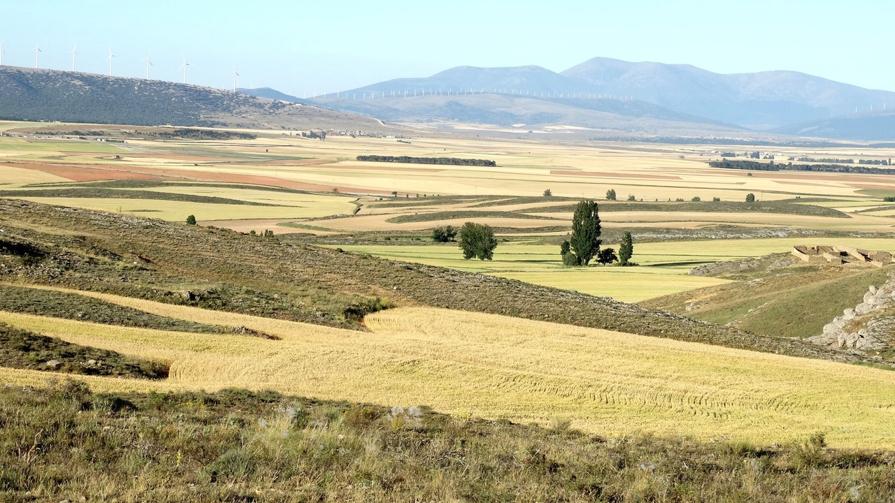 Photo of Others in Almenar de Soria