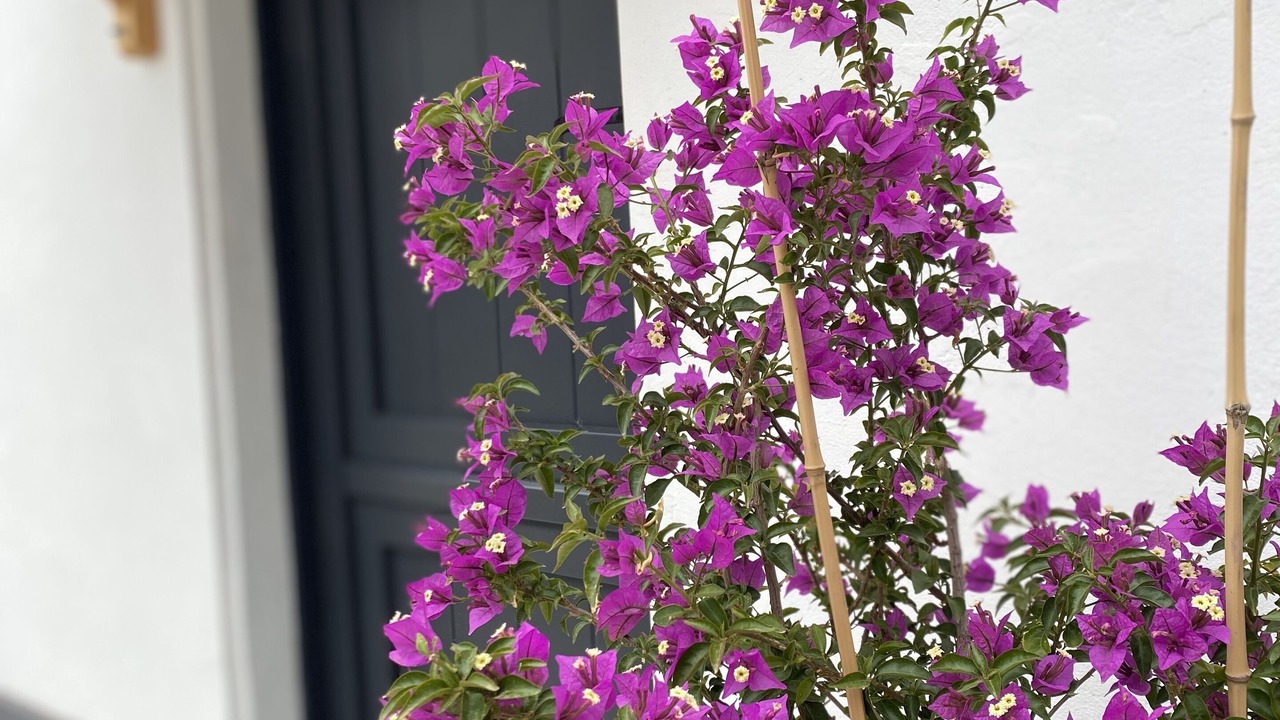 Photo of Outdoor in Bergondo
