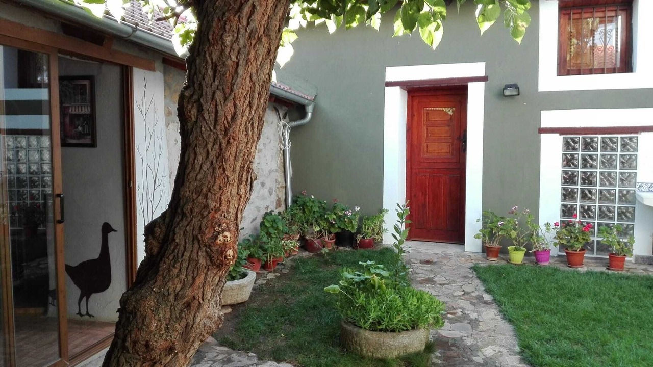 Photo of Outdoor in Cebrones del Rio