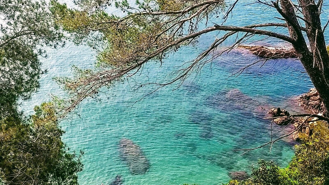 Photo of Others in Vidreres