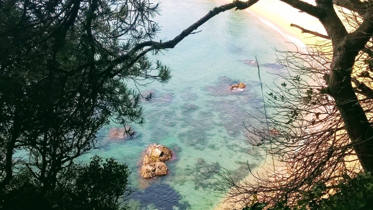 Photo of Others in Vidreres