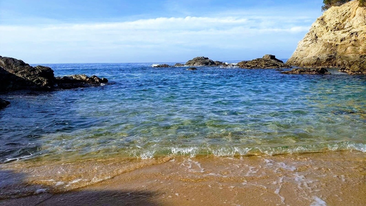 Photo of Others in Vidreres