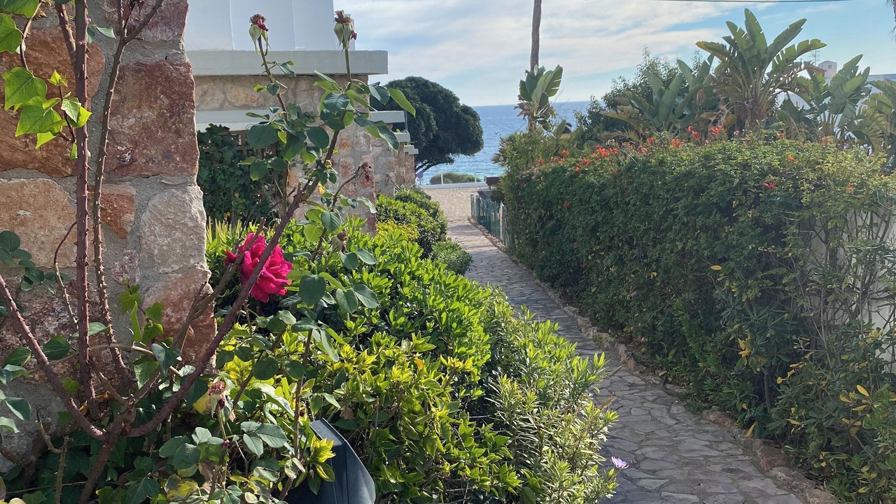 Photo of Outdoor in La Parata