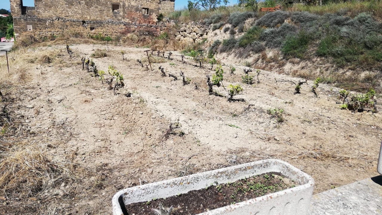 Photo of Outdoor in Gimileo