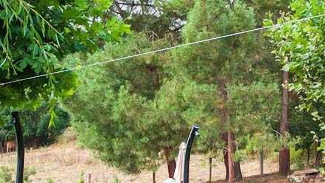 Photo of Outdoor in Bolmente