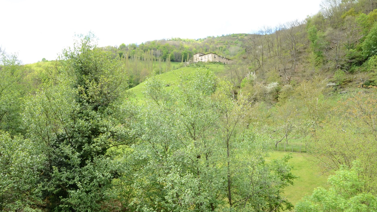 Photo of Outdoor in Limes