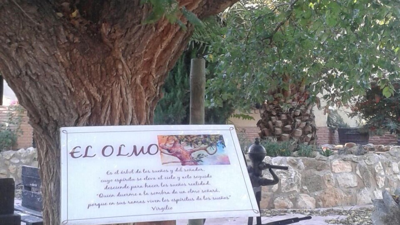 Photo of Outdoor in Fuente Alamo