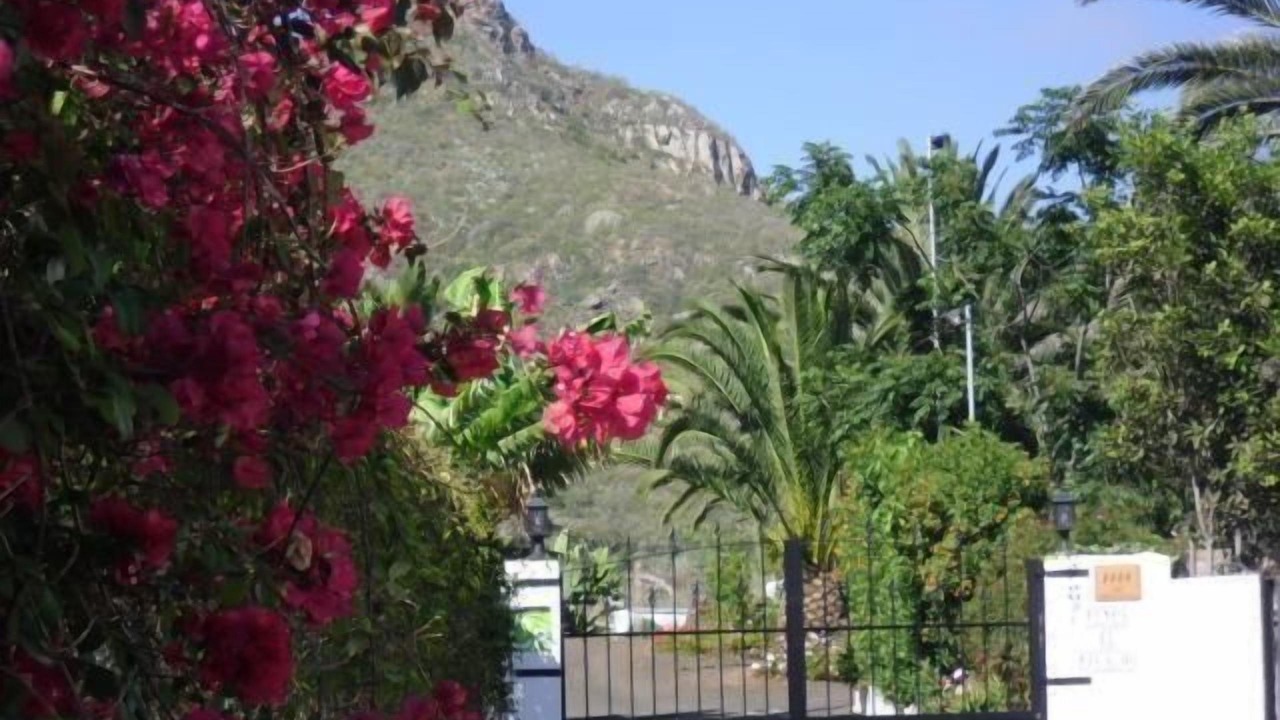 Photo of Outdoor in Tejina