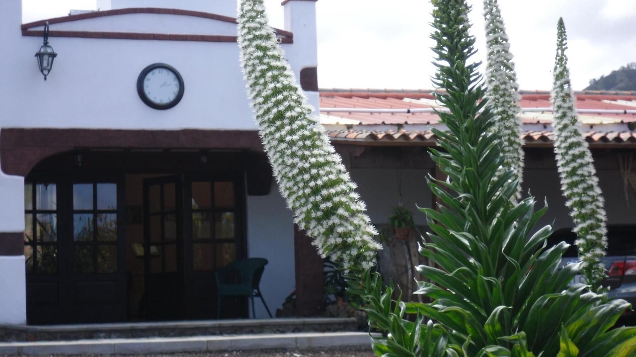 Photo of Outdoor in Tejina