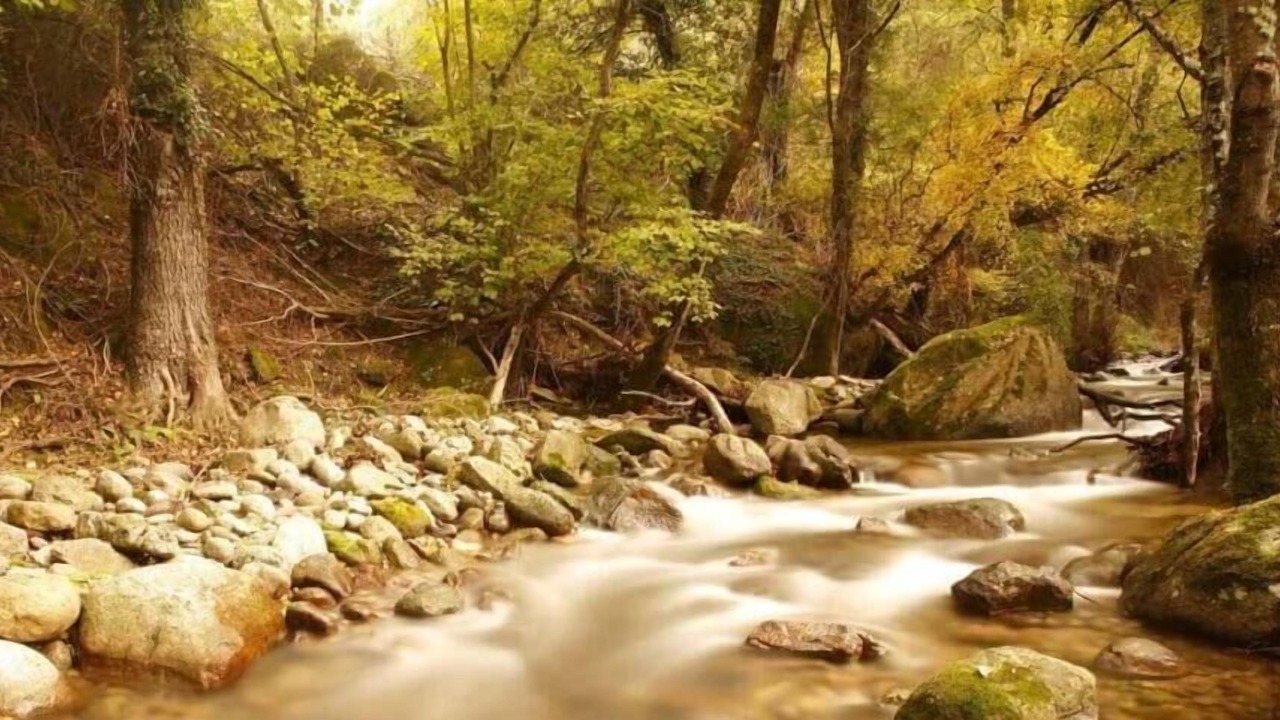 Photo of Outdoor in Casas del Monte
