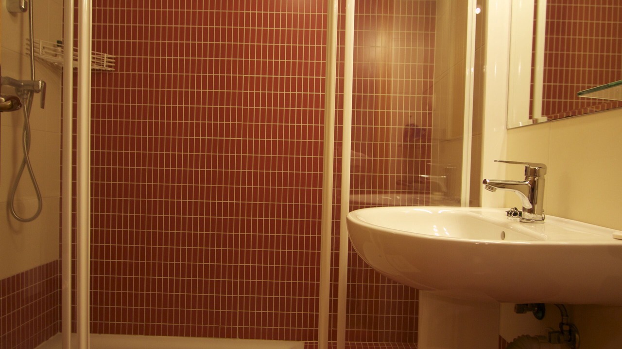 Photo of Bathroom in Felechosa