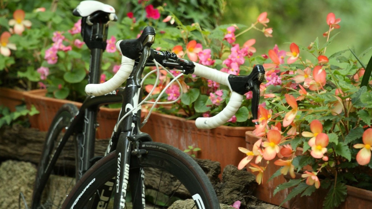 Photo of Outdoor in Cornella del Terri