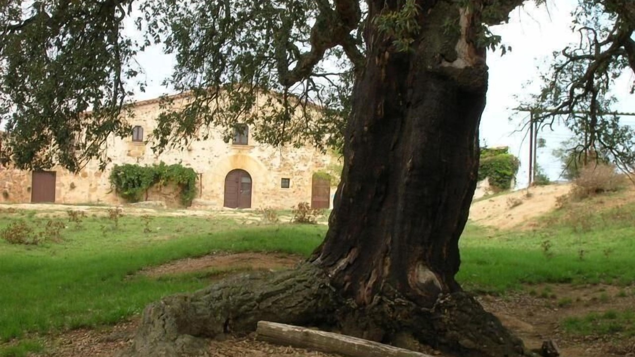 Photo of Outdoor in Cassa de la Selva
