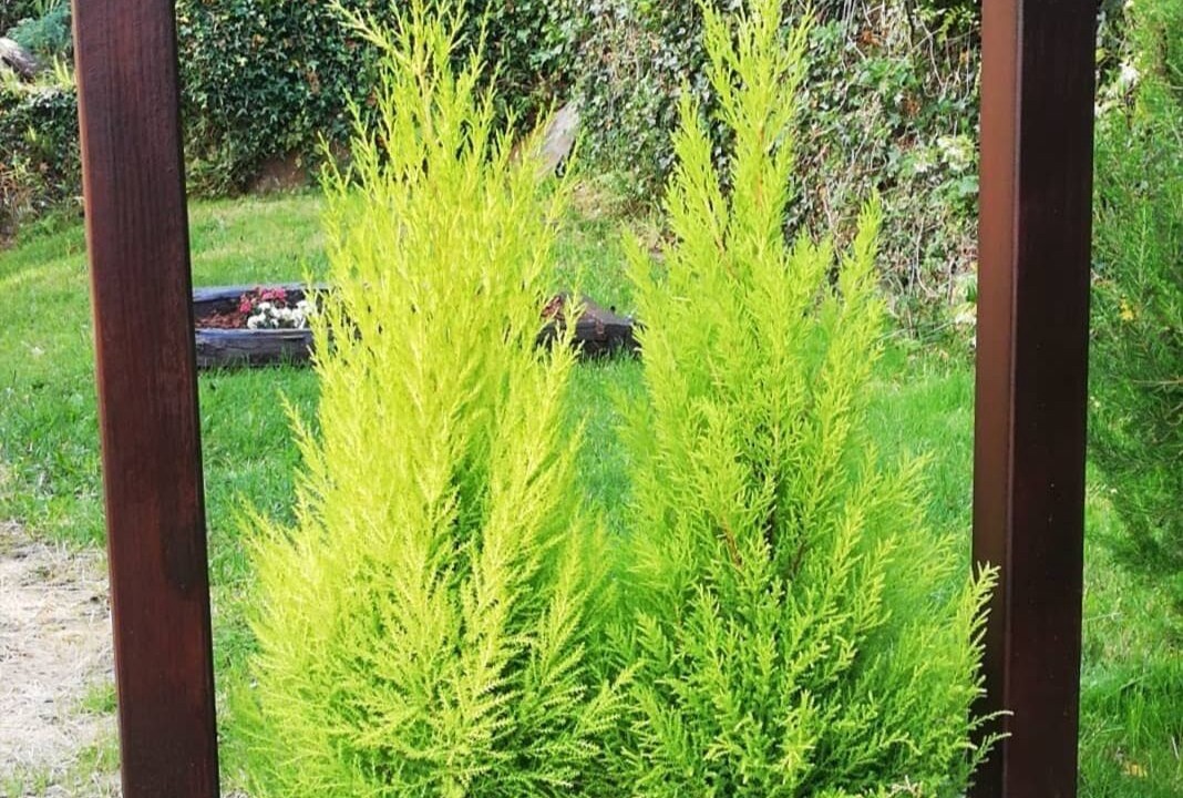 Photo of Outdoor in Samos