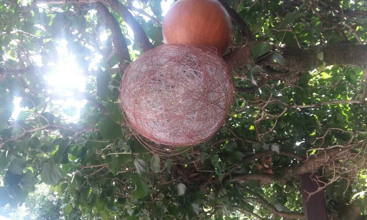 Photo of Outdoor in Samos