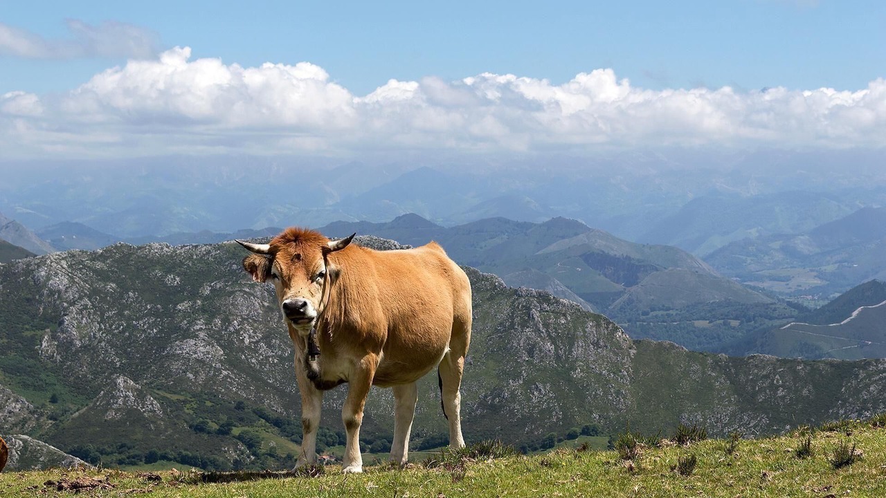 Photo of Outdoor in Obaya
