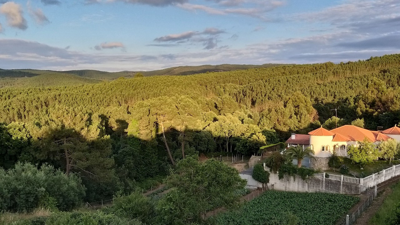 Photo of Outdoor in Castrelo de Mino