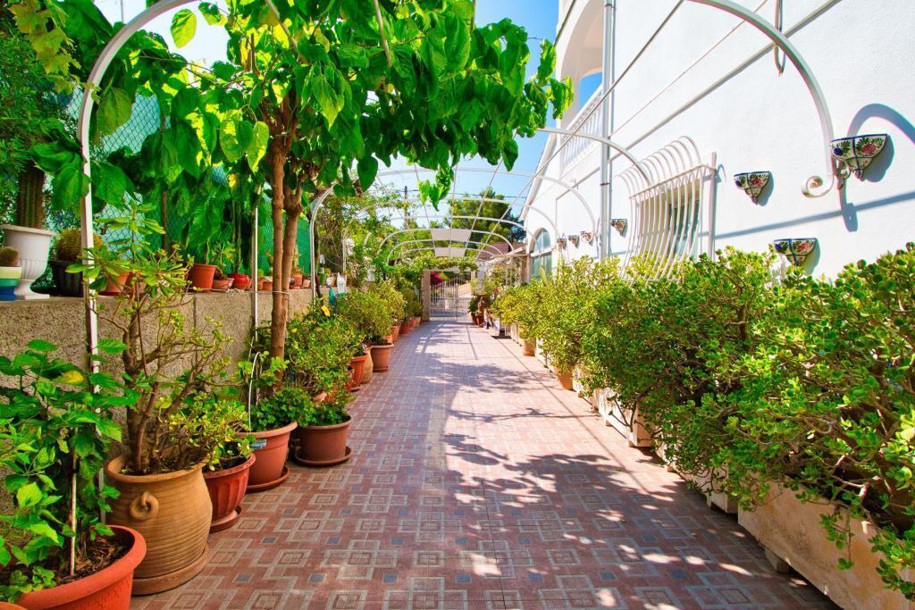 Photo of Outdoor in Peguera