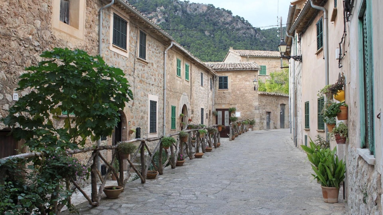 Photo of Others in S'Arxiduc