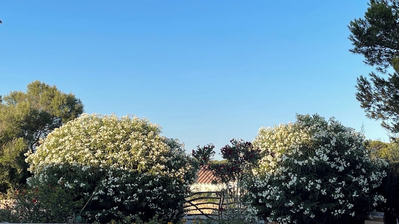 Photo of Outdoor in Binibeca
