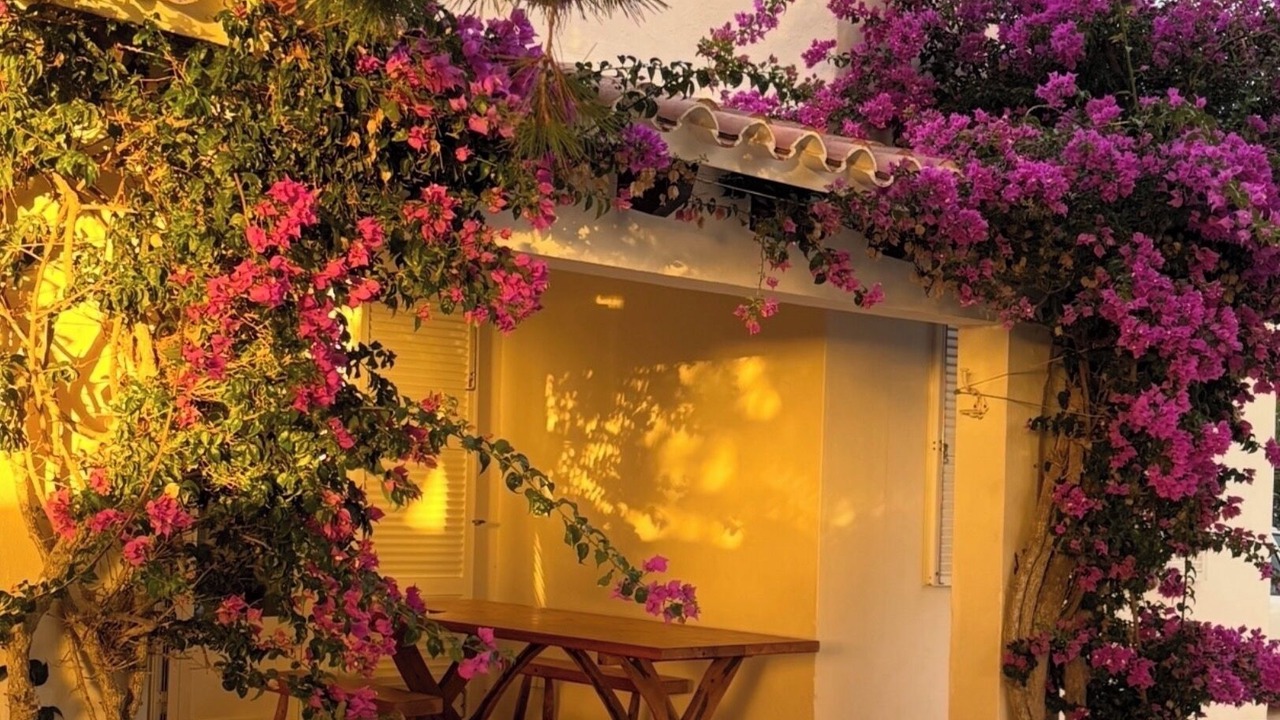 Photo of Patio Balcony in Binibeca