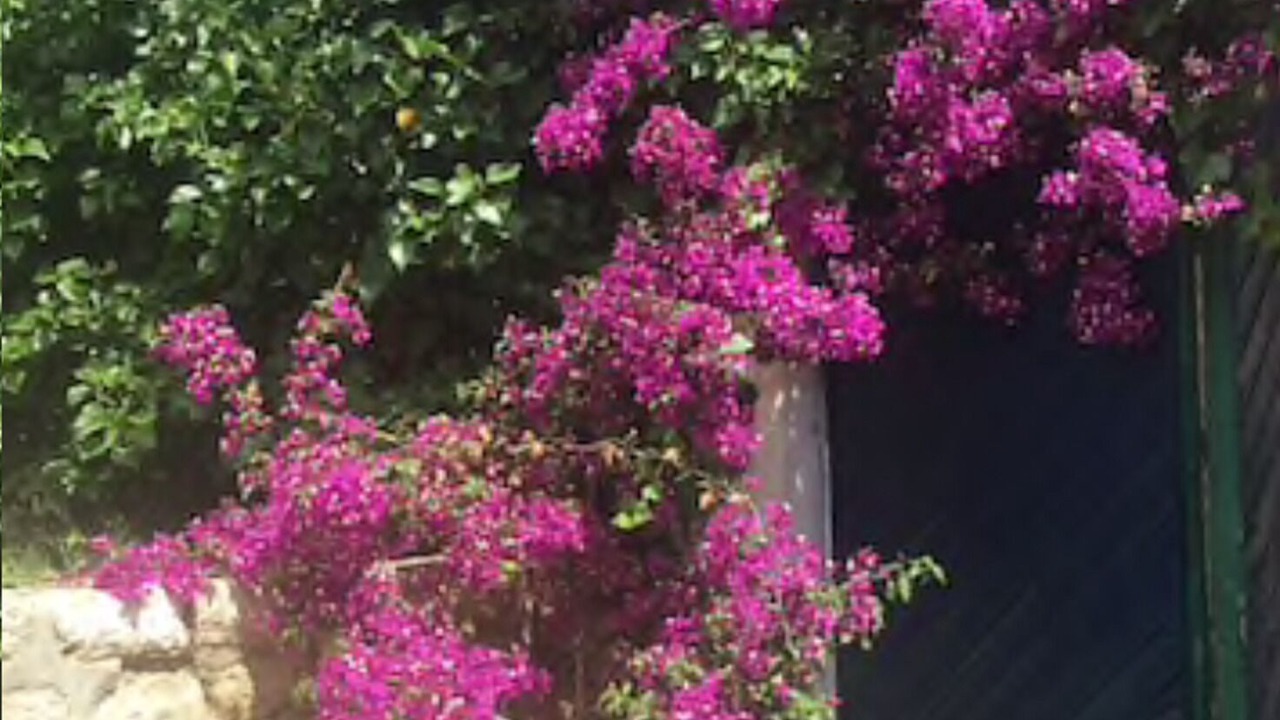 Photo of Outdoor in Elda