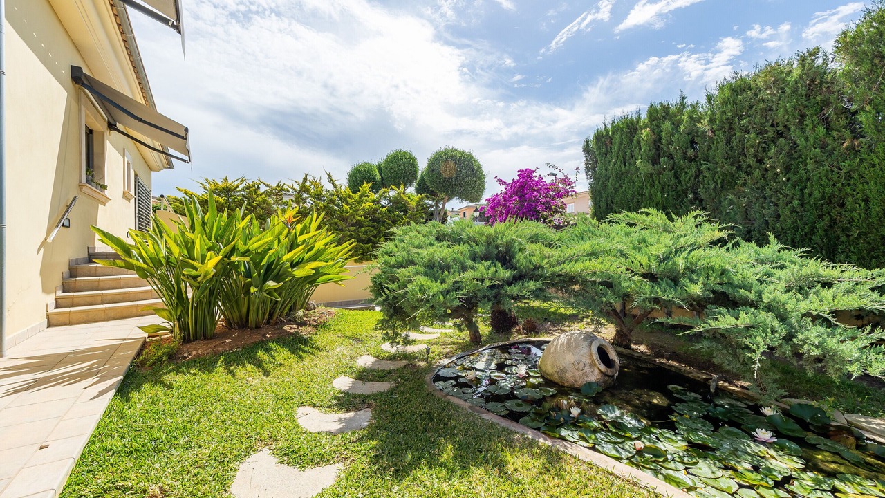 Photo of Outdoor in Marratxi