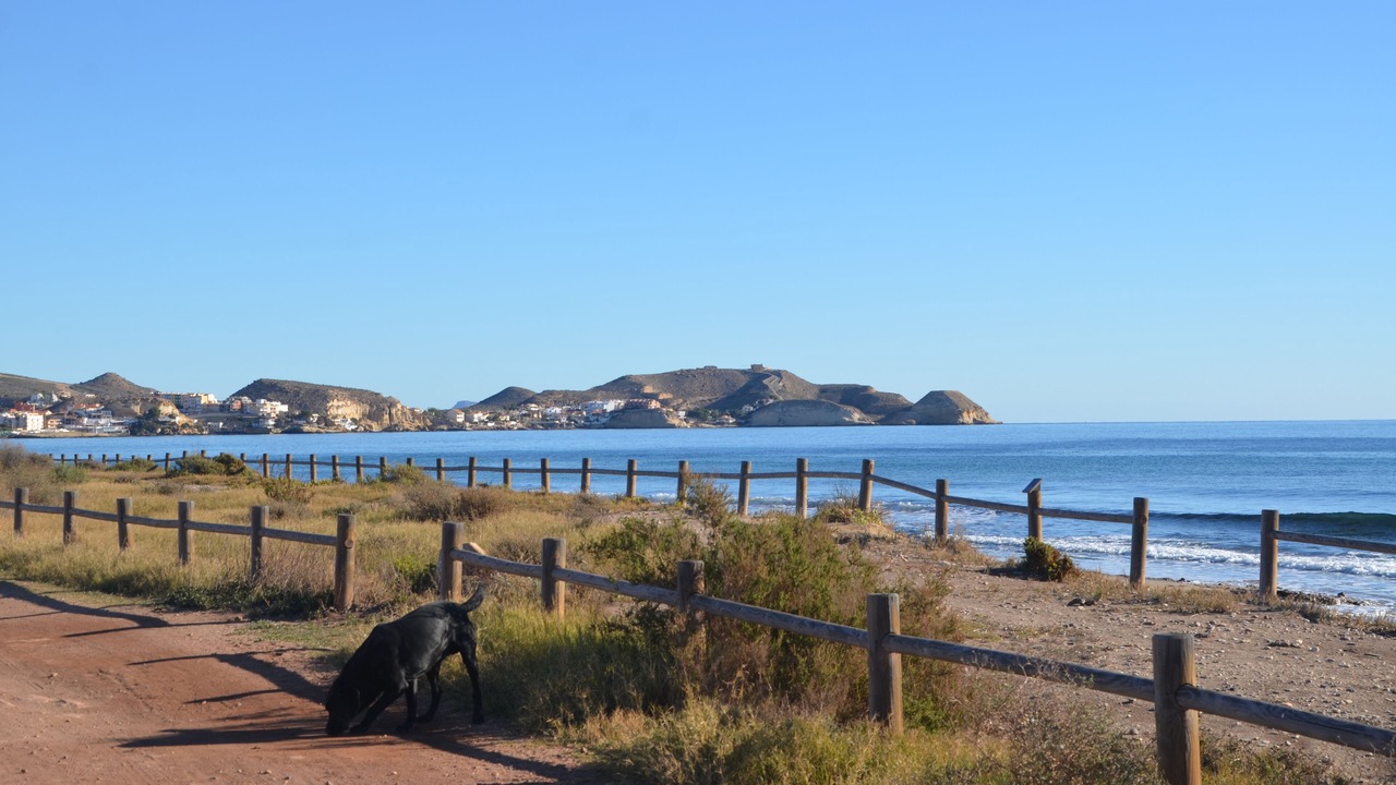 Photo of Outdoor in Mar de Pulpi