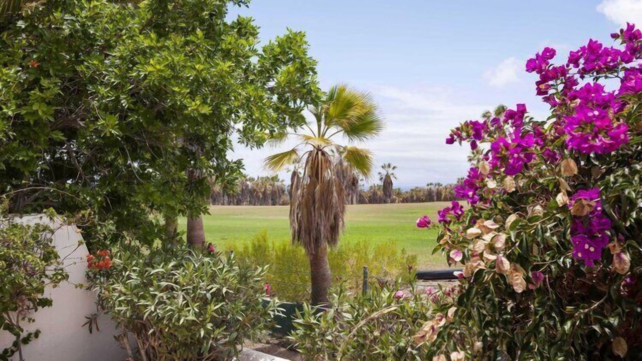 Photo of Outdoor in San Miguel de Abona