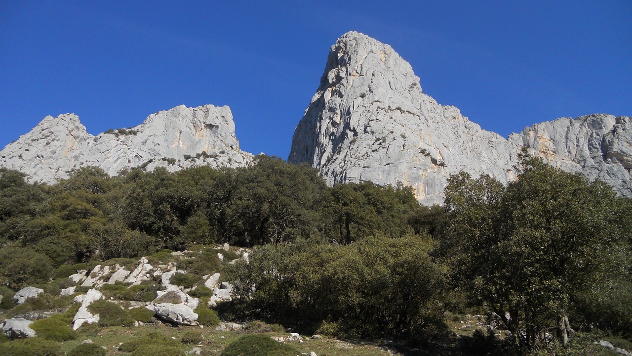 Photo of Outdoor in Buelles