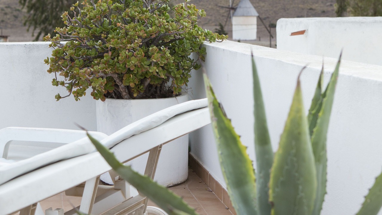 Photo of Outdoor in El Pozo de los Frailes