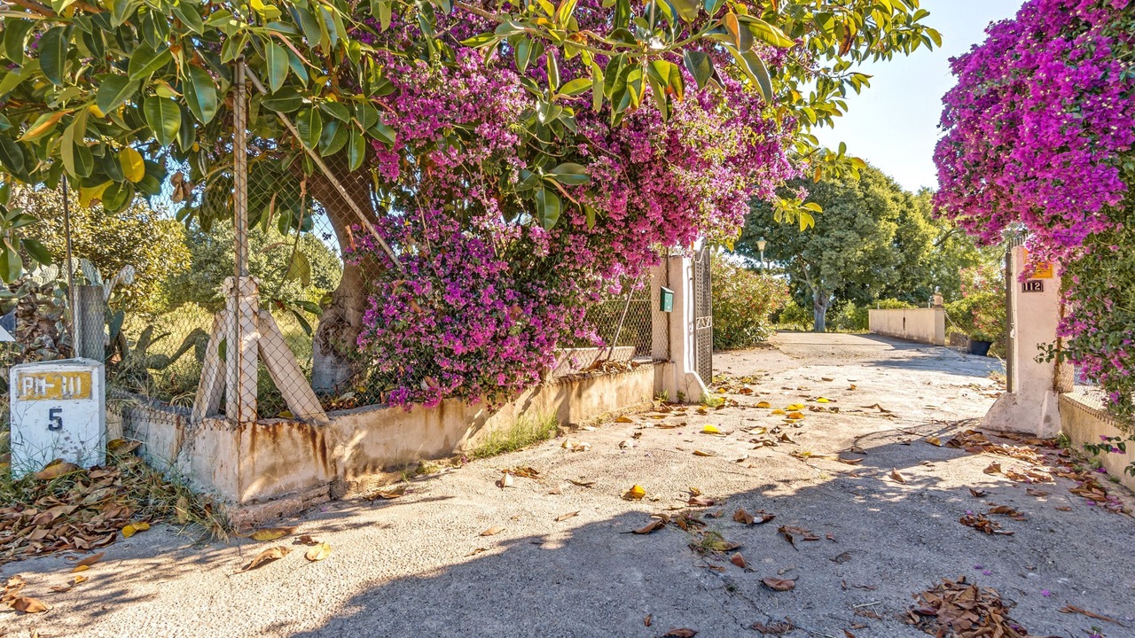 Photo of Outdoor in Palma de Mallorca