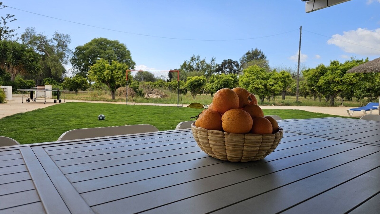 Photo of Patio Balcony in Palma de Mallorca