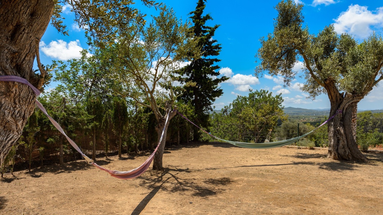 Photo of Others in Sant Joan de Labritja