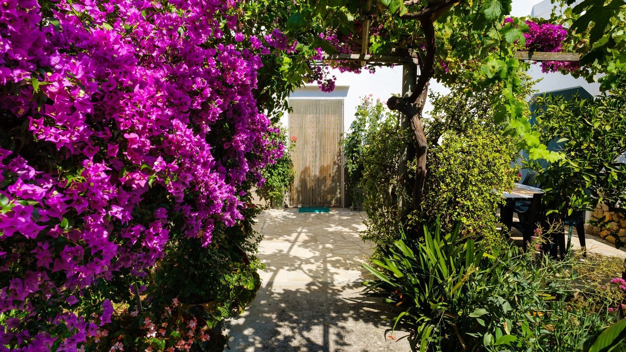 Photo of Outdoor in Sant Joan de Labritja
