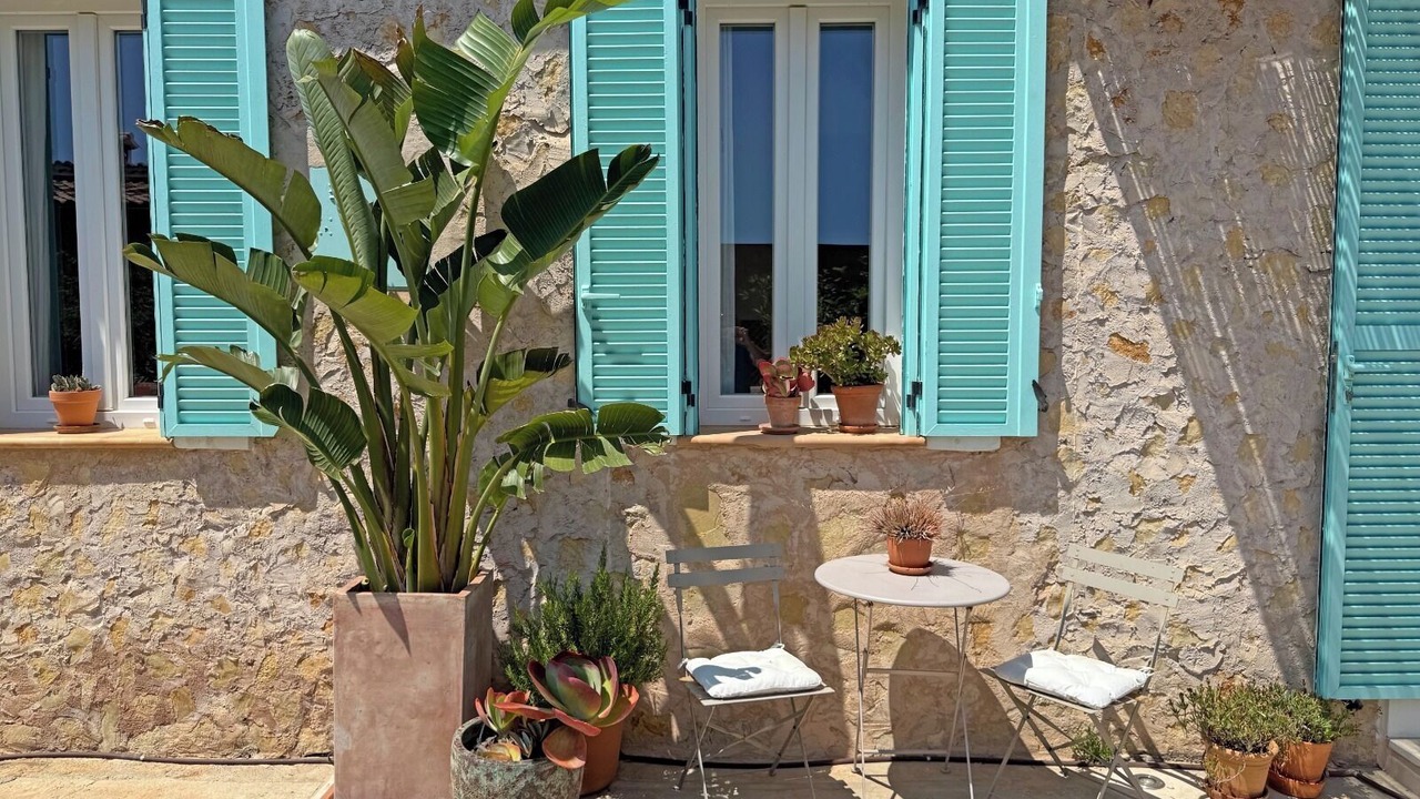 Photo of Outdoor in Portol