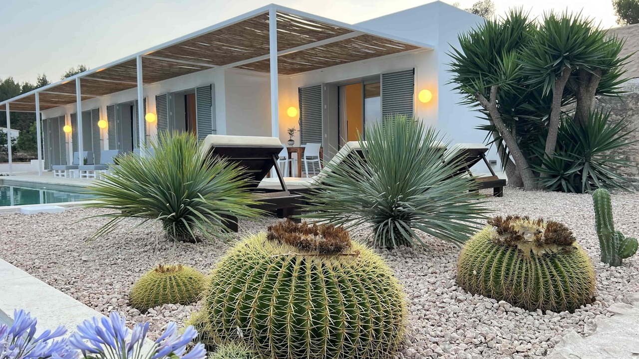 Photo of Outdoor in Formentera