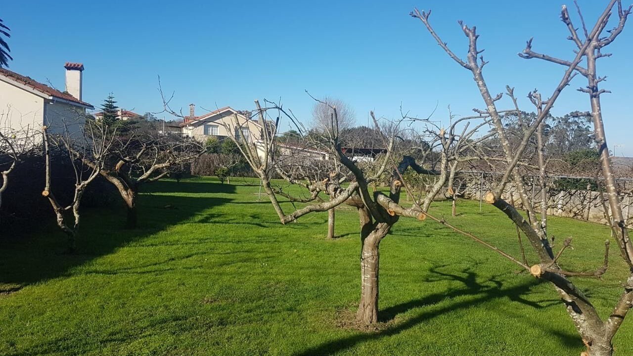 Photo of Outdoor in Oleiros