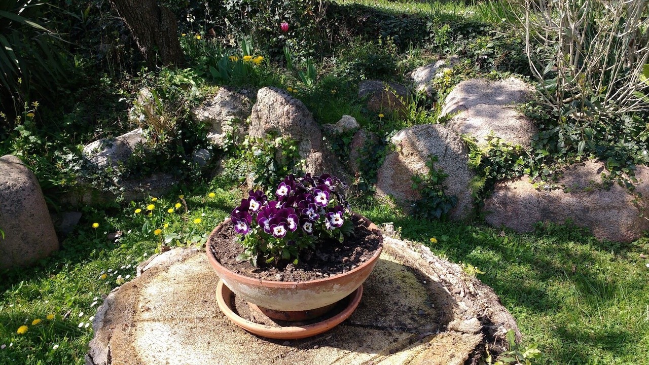 Photo of Outdoor in Bescano