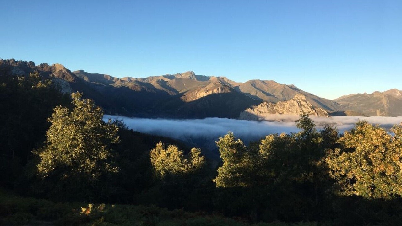 Photo of Outdoor in Basieda