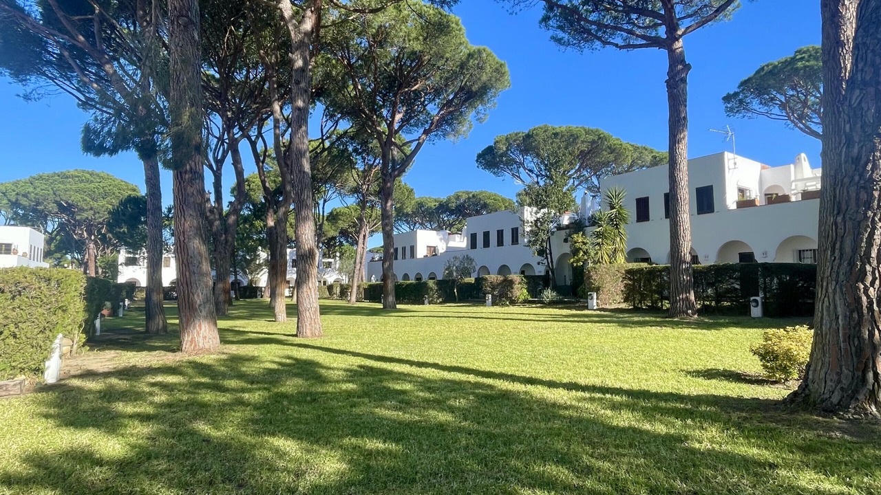 Photo of Outdoor in Pals