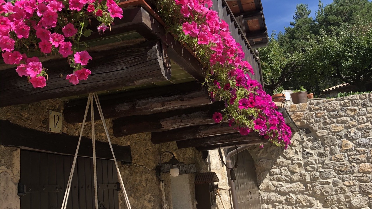 Photo of Outdoor in Vallcebre